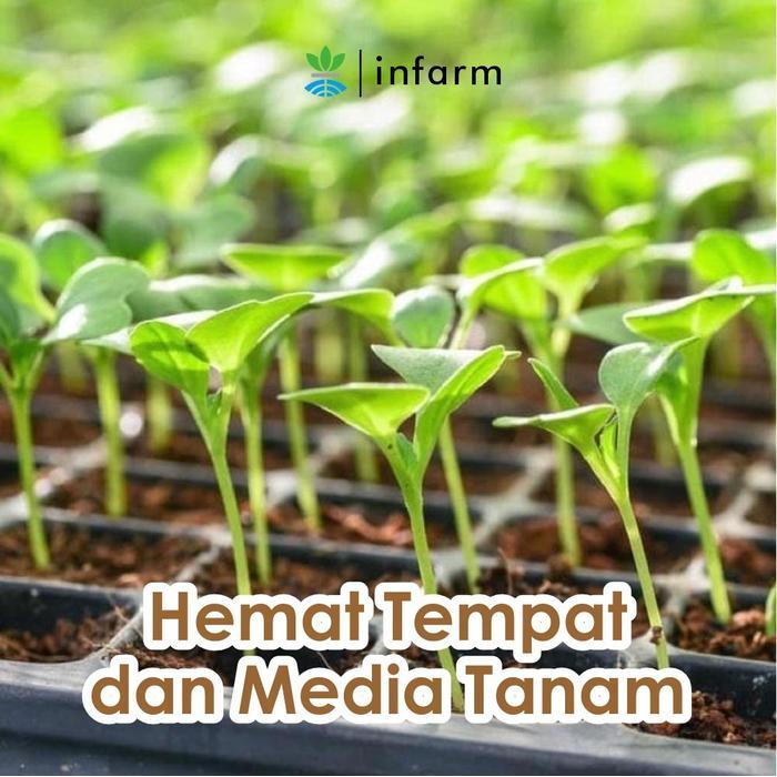 INFARM - Tray Semai Pot Semai untuk Media Tanam dan Tanaman Bibit Benih Pot Semai Bahan Plastik