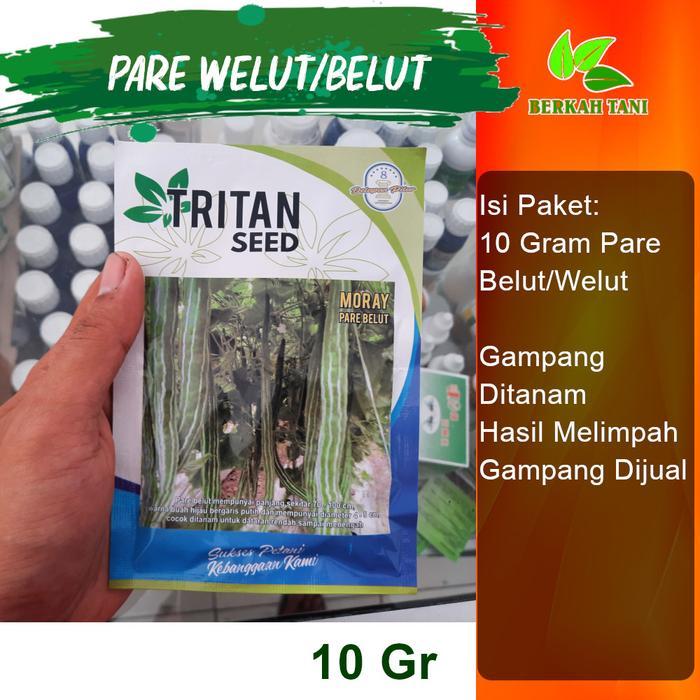 Terangbenderangshop Benih Bibit Pare Belut Pare Welut Moray 10 Gram