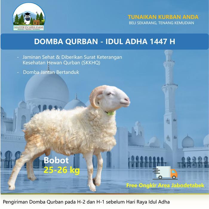 Idul Adha Domba Qurban Kambing Kurban Murah Berat 25kg Jaminan Sehat Gratis Ongkir Jabodetabek