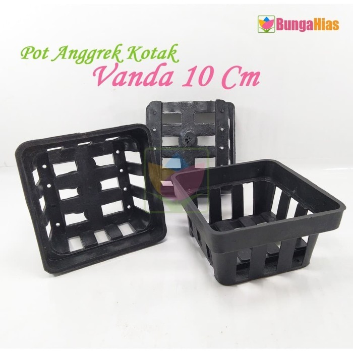 Pot Anggrek Vanda Kotak 10 Cm Tanaman Hias dan Bunga Plastik