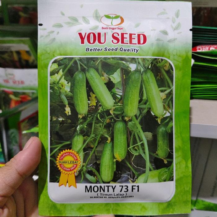 Benih timun lalap MONTY 73 20 gram timun baby dari you seed