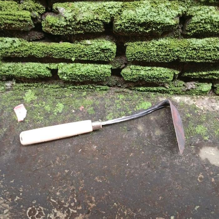 KORET WANGKIL PEMBERSIH RUMPUT