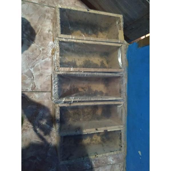 BIBIT LEBAH KLANCENG/TRIGONA SUPER