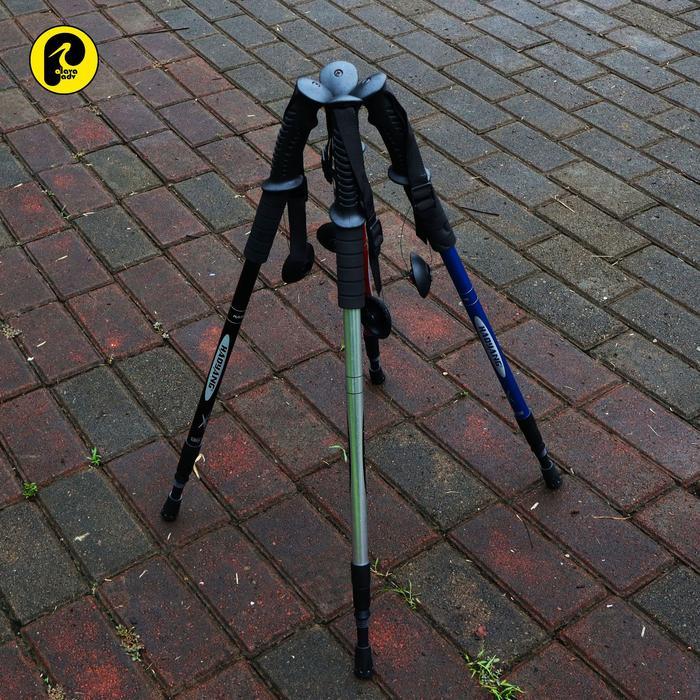 Eiger - [BISA COD] trekking tracking pole tongkat gunung Camping