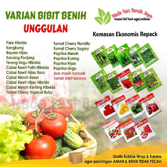 bibit benih sayur/bibit sayuran/biji sayuran/benih bibit sayuran
