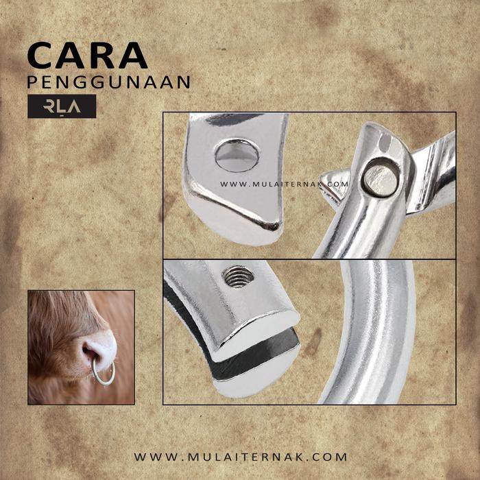 BULL NOSE RING - ANTING HIDUNG SAPI - KERBAU - KELUH - TINDIK - CATTLE