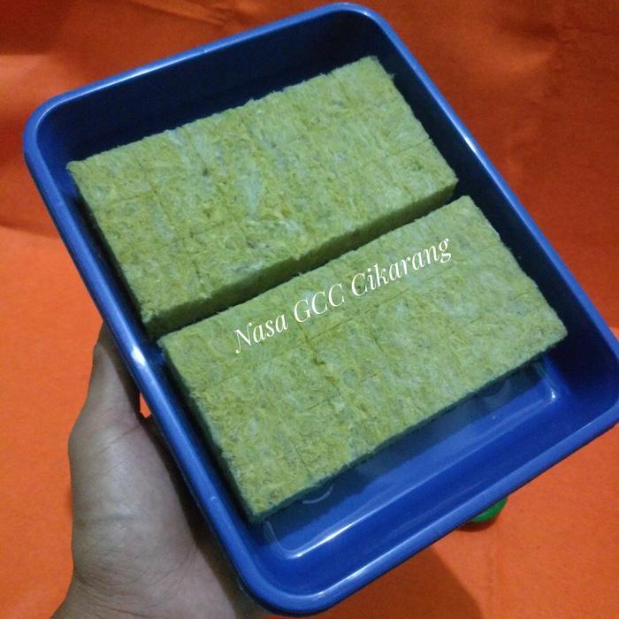 Nampan Semai Tray Semai Hidroponik