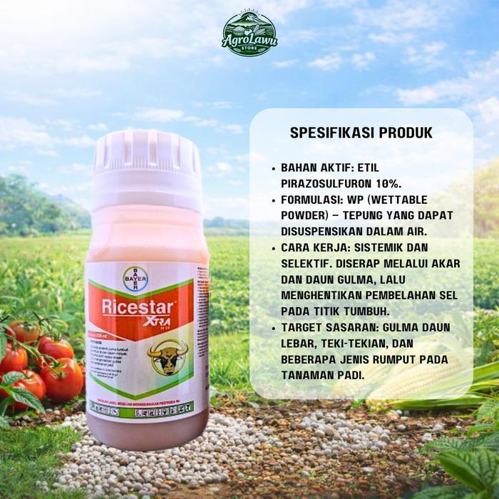 RICESTAR 89 OD Herbisida Padi Purna Tumbuh