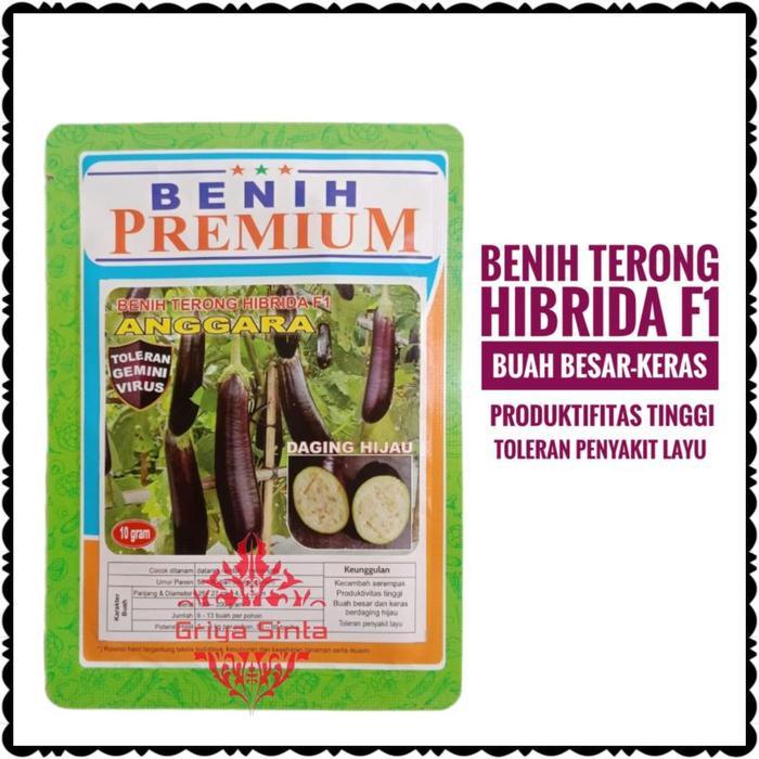Benih Hibrida Premium Terong Ungu Panjang Anggara