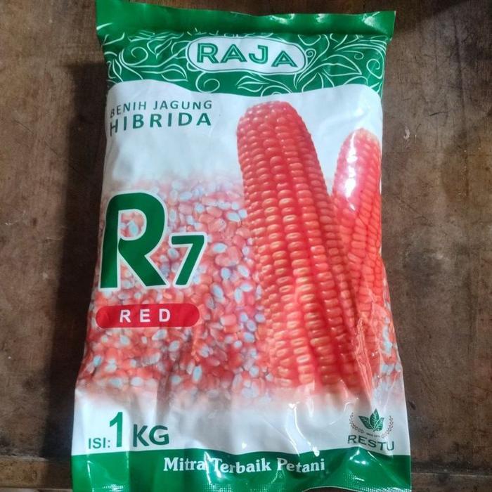 benih jagung R7 red 1kg
