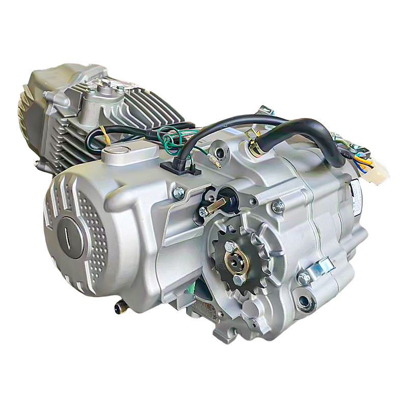 . Motorcycle Engine 190Cc Oil-Cooled Zongshen W190Cc Engine Zs1P62Yml-2 Engine Assembly Daytona