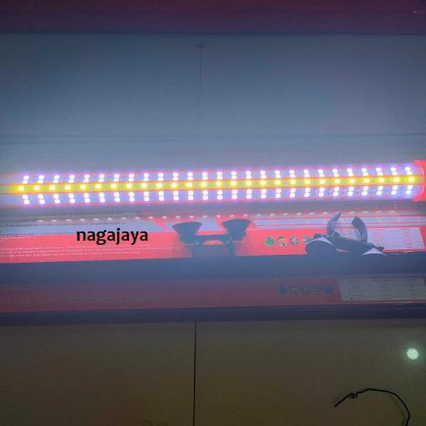 Amara Lampu Tanning Arwana Super Red No Sakkai Manyin Super Premium