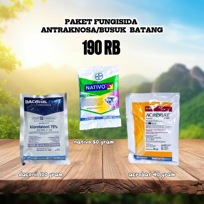 ` PAKET FUNGISIDA ANTRAKNOSA SAHABAT TANI TV Daconil 100g Acrobat 40g Nativo 50g untuk Kontrol Jamur