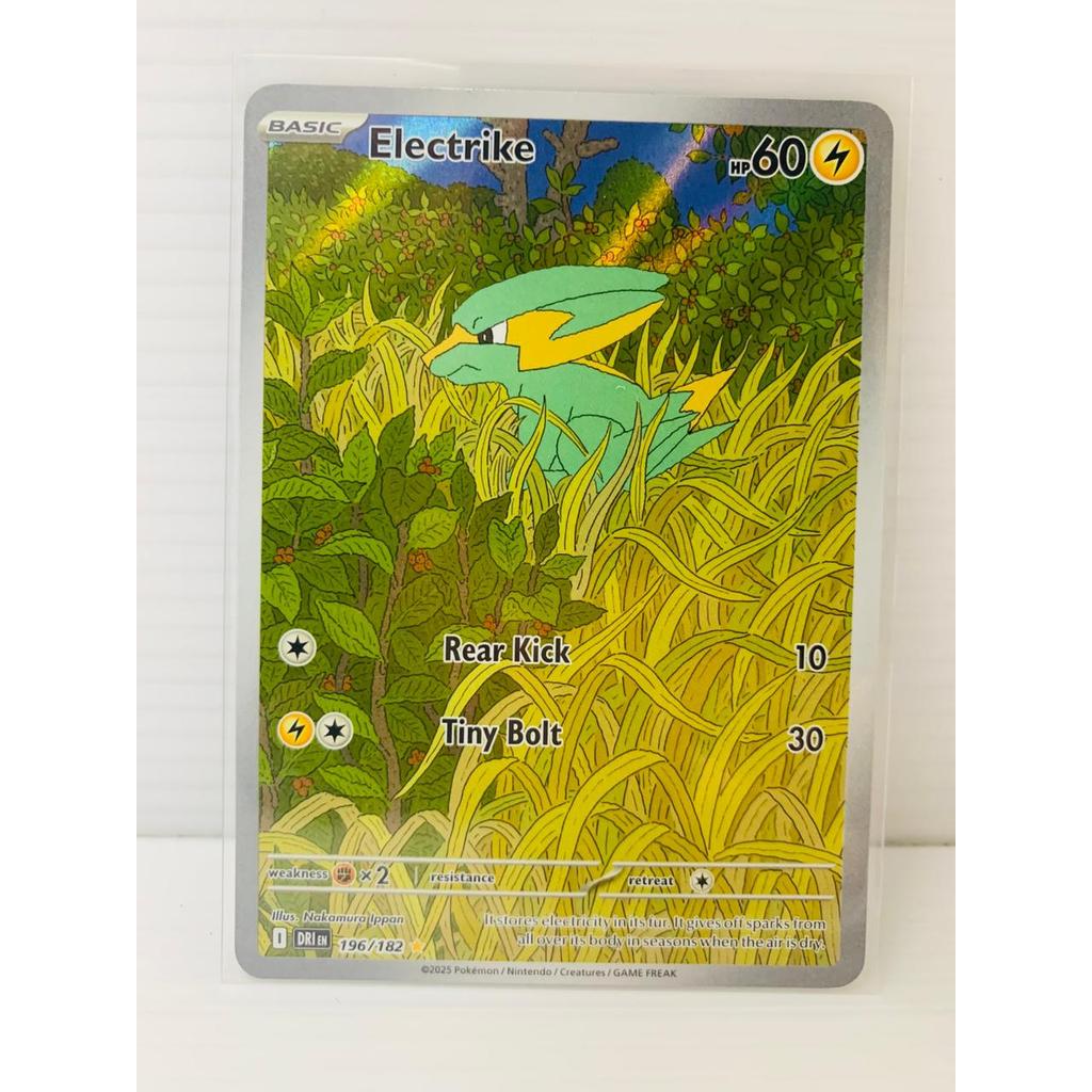 AR Electrike Pokemon Destined Rivals English Inggris