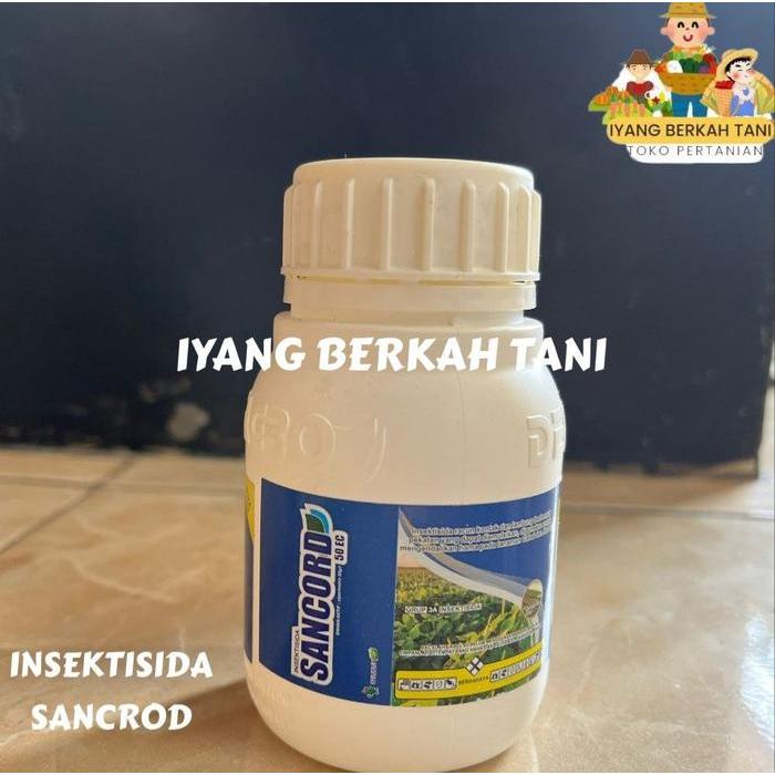 ` Sancord 50ec 100ml Insektisida Sipermetrin 50 g/l Ripcord Pengendali Hama pada Tanaman Deltagro