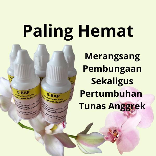 Paket 5 Botol 6-BAP Hormon Perangsang Bunga dan Tunas Tanaman Anggrek
