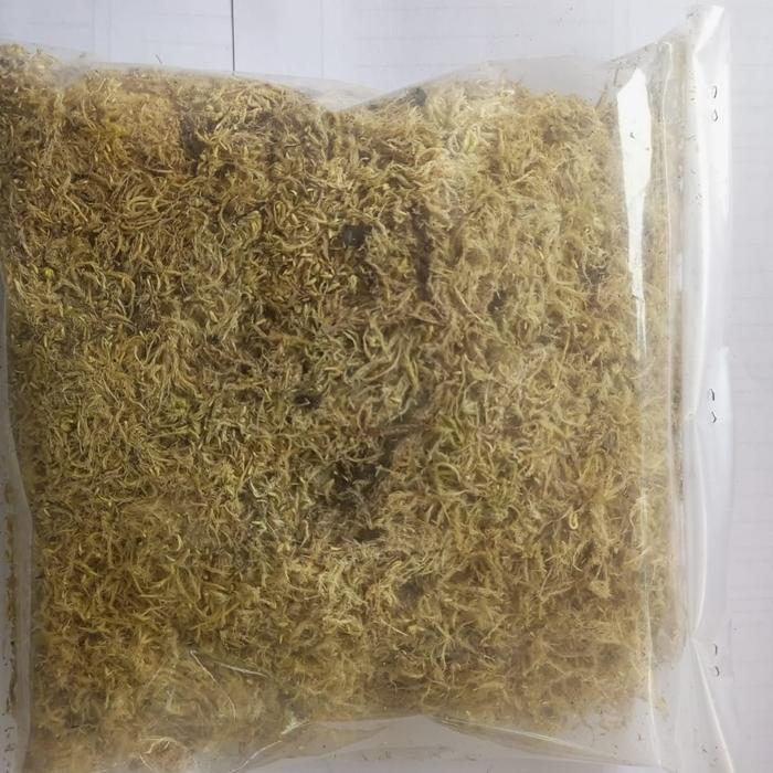 Sphagnum Moss Premium
