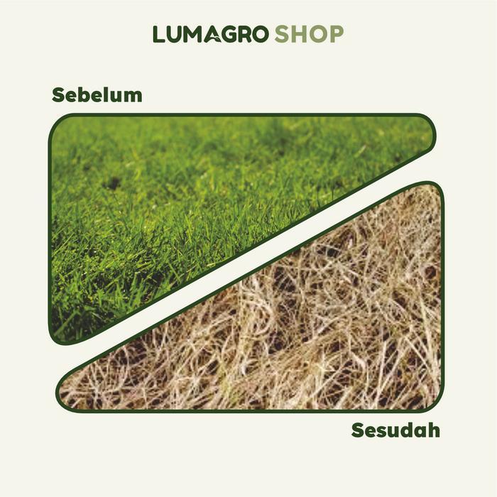 Solusi 400Ml Herbisida Mengatasi Rumput Padi Dan Tebu Berkualitas