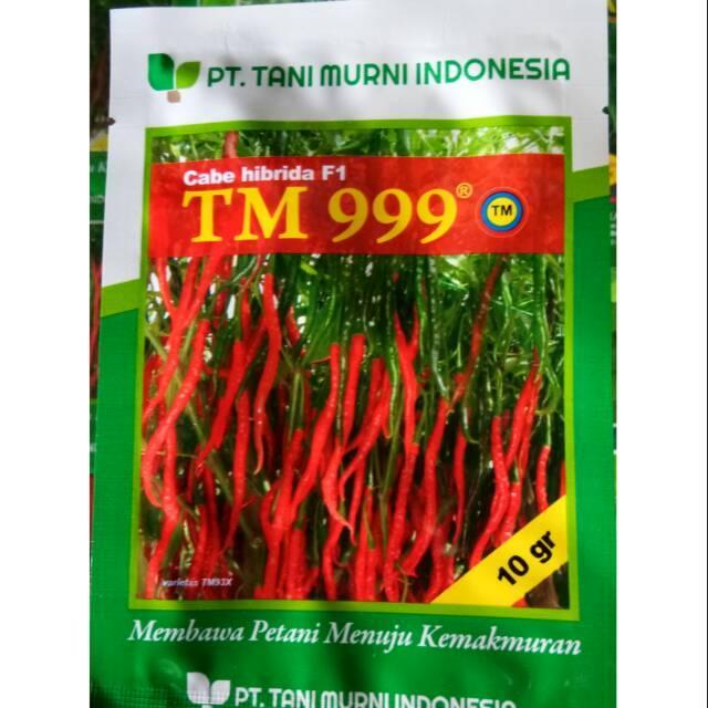 Benih bibit cabe keriting TM 999 tani murni 10gr
