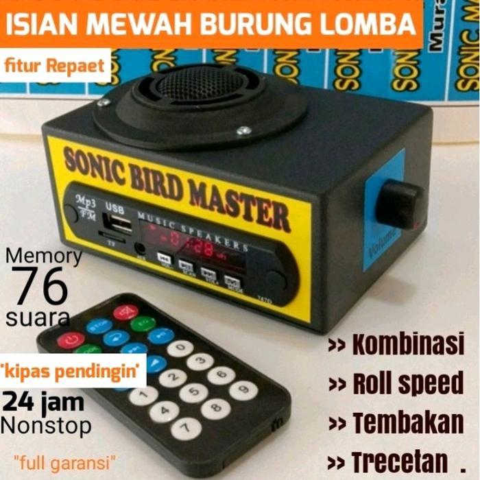 Masteran Murai Sonic Master Masteran Burung Juara Mp3 Free Memory