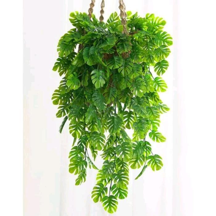 Ada Stok DAUN MONSTERA JUNTAI DAUN RAMBAT GANTUNG JUNTAI BAMBU HIAS BUNGA ARTIFICIAL