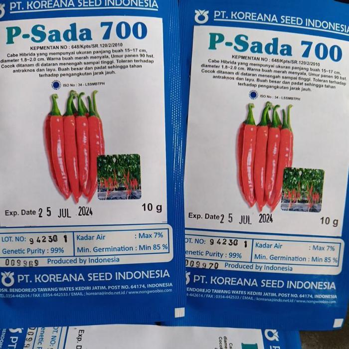 Benih Cabe besar P-Sada 700