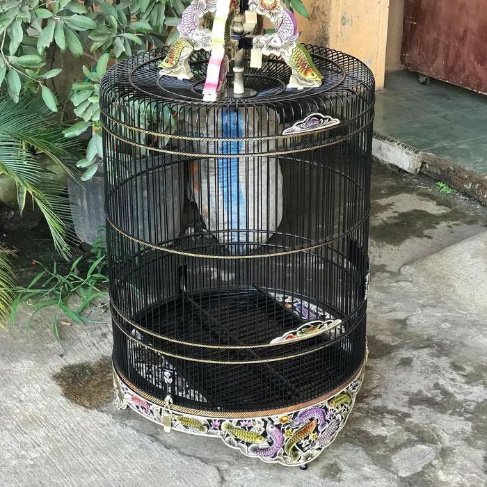 Sangkar bulat sangkar murai batu ukir cukit arwana