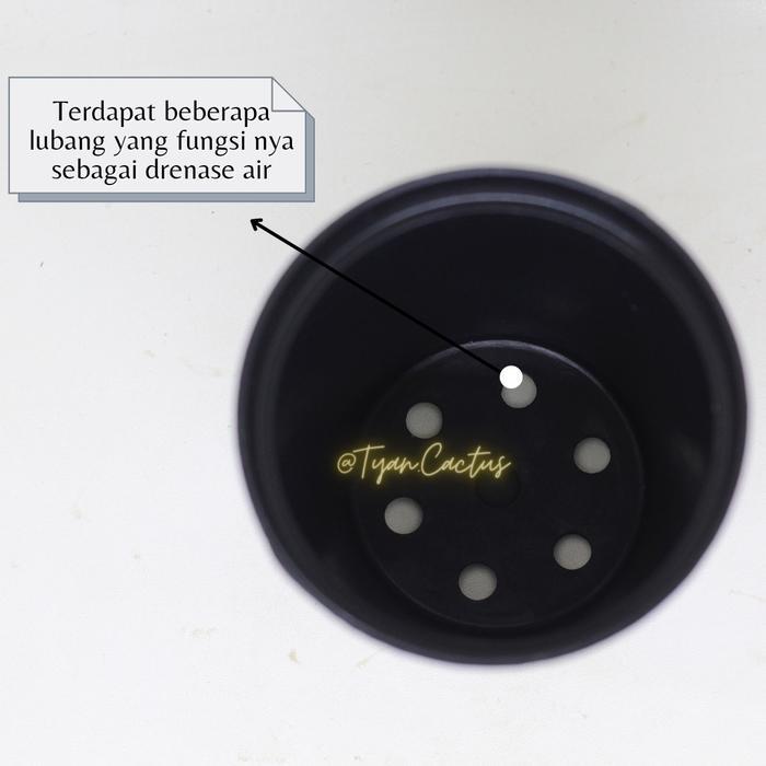 Pot Plastik / Pot Hidroponik 8Cm Hitam
