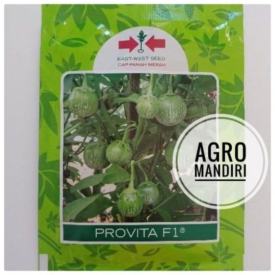 Terong Bulat Lalap Hijau PROVITA F1 isi 1100 Butir Cap Panah Merah