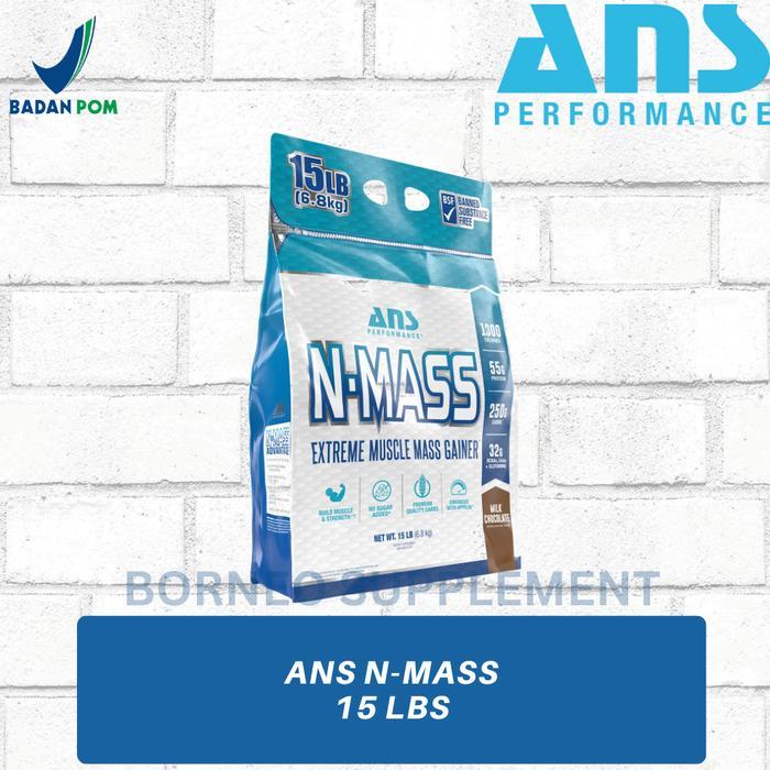 Ready Ans N Mass Gainer 15 Lbs Performance