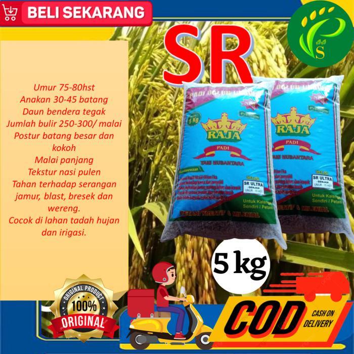 Benih Padi SR 75 HST Bibit Padi Kemasan 5KG