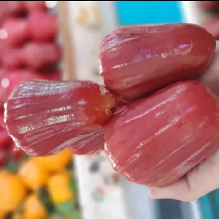 Buah Jambu Citra Merah Jambu Air Citra Merah 1 Kg