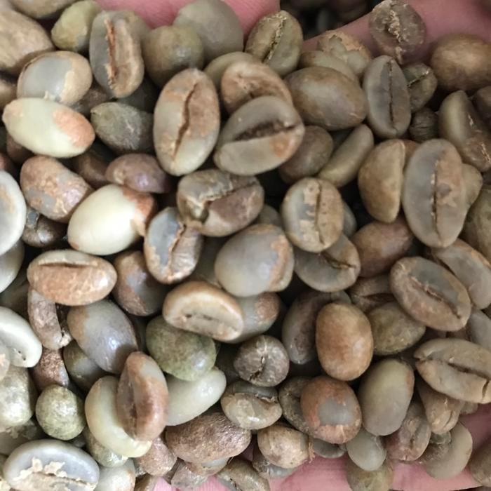 Green Bean Robusta Temanggung G1