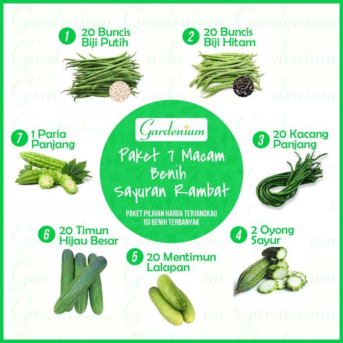 Macam Benih Sayuran Paket 7 macam benih sayuran rambat: buncis, oyong, pare, timun, kacang panjang, 