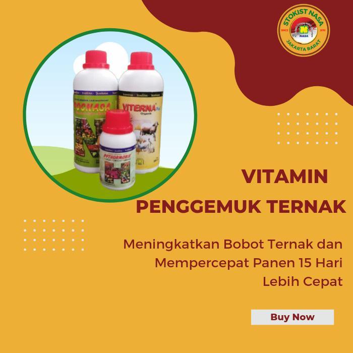 PAKET PETERNAKAN KAMBING NASA VITERNA POC NASA HORMONIK