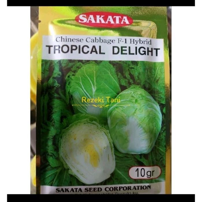 Benih Kubis Cina Sawi Putih Slobor Hibrida Tropical Delight 10gr