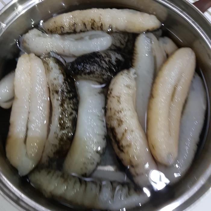 Teripang Gamat sea cucumbar Hoisom haisom pasir belitung