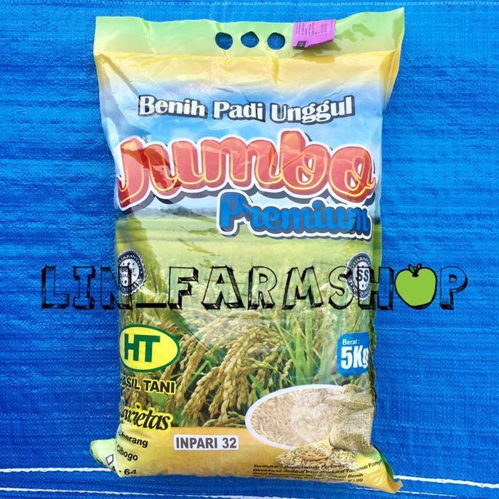BENIH PADI INPARI 32 JUMBO PREMIUM 5 KG