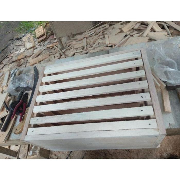 KOTAK BUDIDAYA LEBAH APIS CERANA