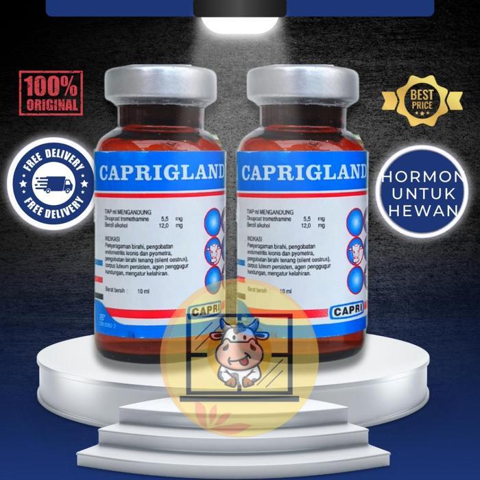 CAPRIGLANDIN INJ 10 ML - HORMON SINKRONISASI ESTRUS SAPI KAMBING DOMBA KUDA BABI