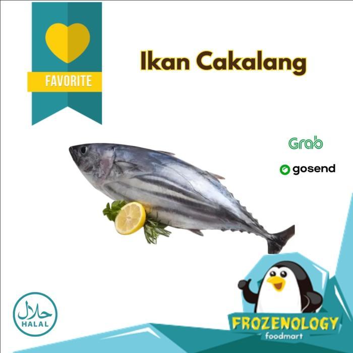 Ikan Cakalang (Skipjack) Cakalang Utuh 1 kg Frozen Halal