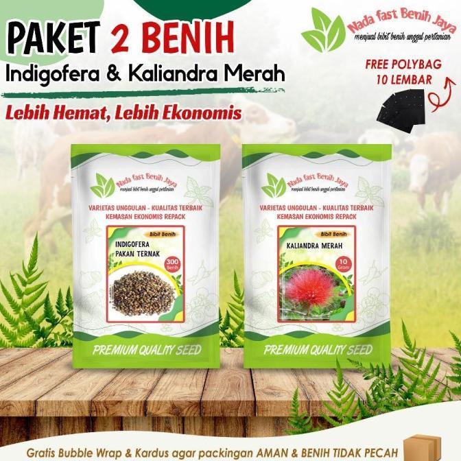 Paket 2 Benih indigofera dan benih kaliandra merah gratis polybag
