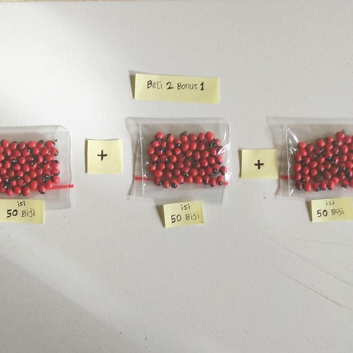 "New" BIJI SAGA RAMBAT MERAH BINTIK HITAM ISI 50 BIJI
