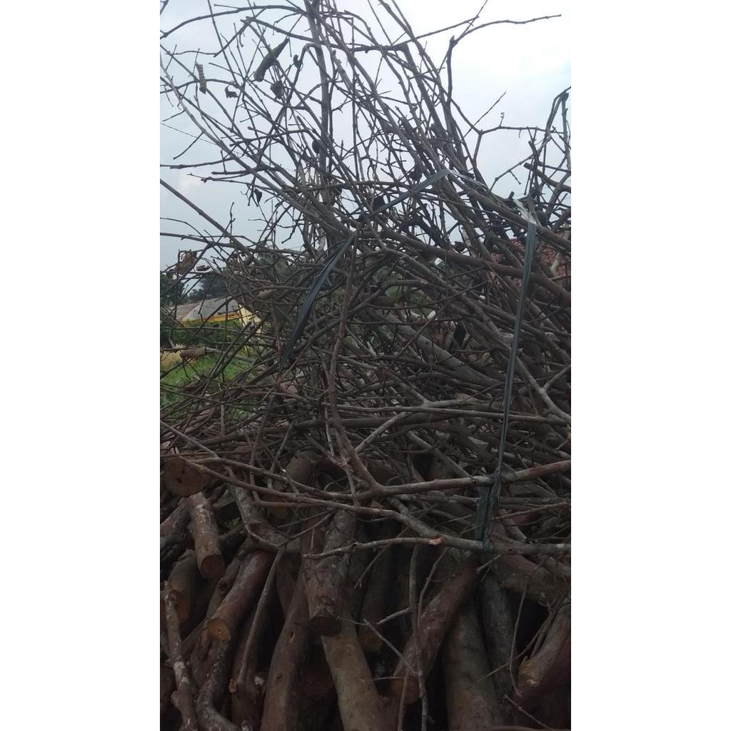 Ada Stok ranting kecil bunga plastik