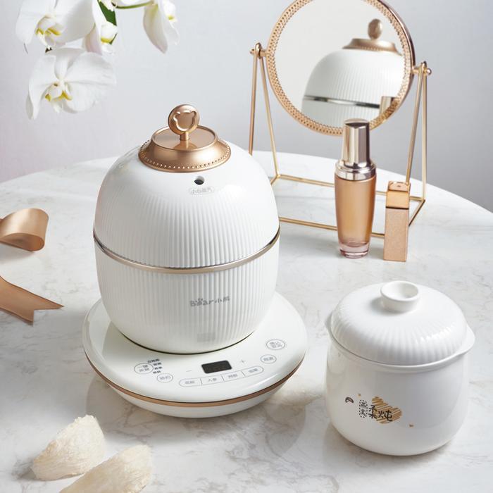 Bear Electric Stew Cooker Birds Nest Stew Pot Cooker Multifunction