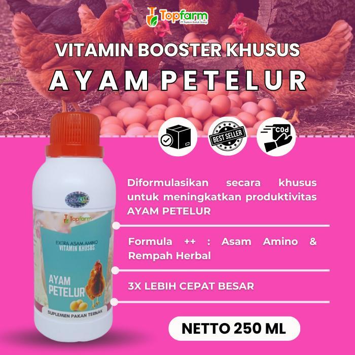 Vitamin Produktifitas Ayam Petelur/ Vitamin Ayam Petelur/ Obat Ayam Cepat Bertelur/ Vitamin Booster