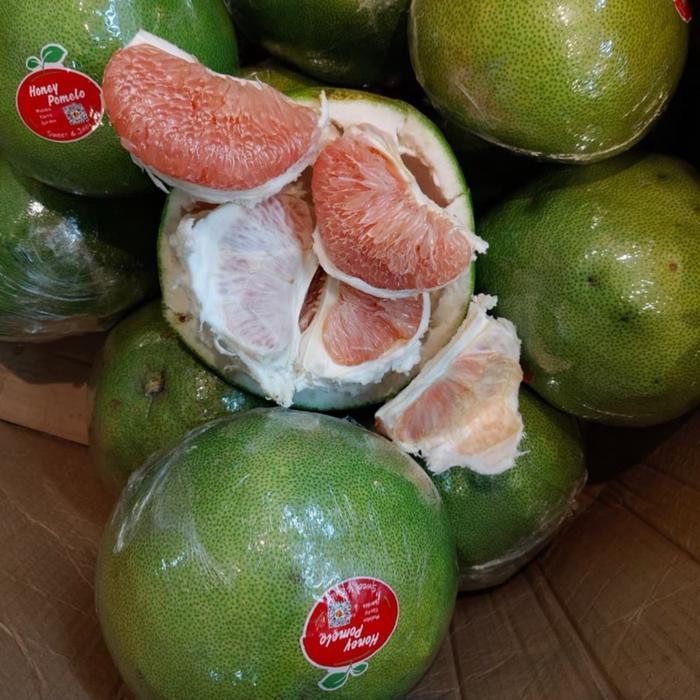 Pomelo pomelo maluku pomelo madu