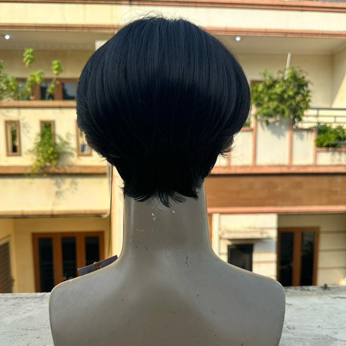 Wig Cowok Model Korea Alden