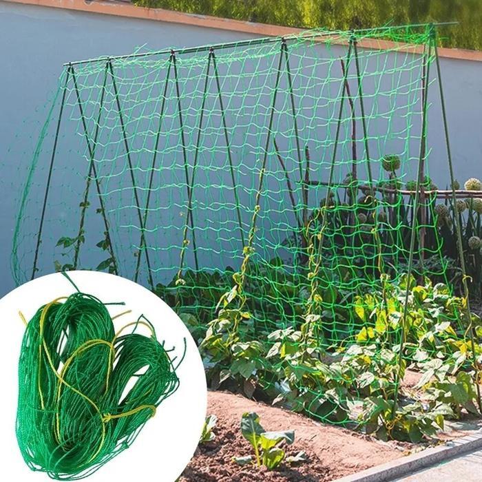 Jaring Rambatan Tanaman Buah Lanjaran Tanaman Merambat Jaring Pagar Ayam Kebun Tanpa Tali Frame
