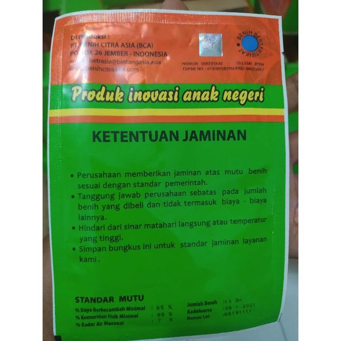 Benih Unggul Labu / Waluh Kuning WULUHAN 10 Gram - Bintang Asia